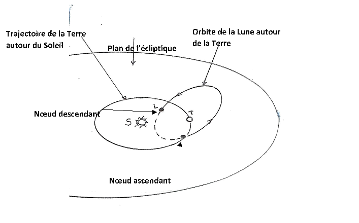 (1) Certains journalistes spécialistes du jardin (comme ceux de la revue RUSTICA, par exemple) prétendent qu’au moment des nœuds, ascendant ou descendant, il ne faut pas jardiner, même pas aller au potager…Peut-être que les carottes et les navets explosent à ce moment- là…Je ne sais pas et j’aimerais que l’on m’explique.