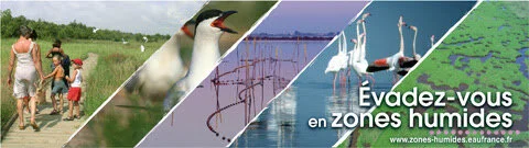 Convention relative aux zones humides d'importance internationale particulièrement comme habitats des oiseaux d'eau 
