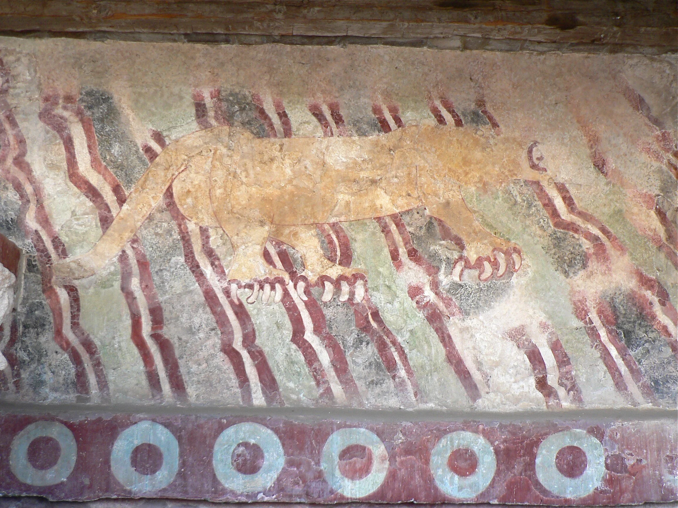 8- fresque in situ Au long de l’axe cérémoniel on rencontre des restes de fresques comme ici ce jaguar animal redouté mais révéré