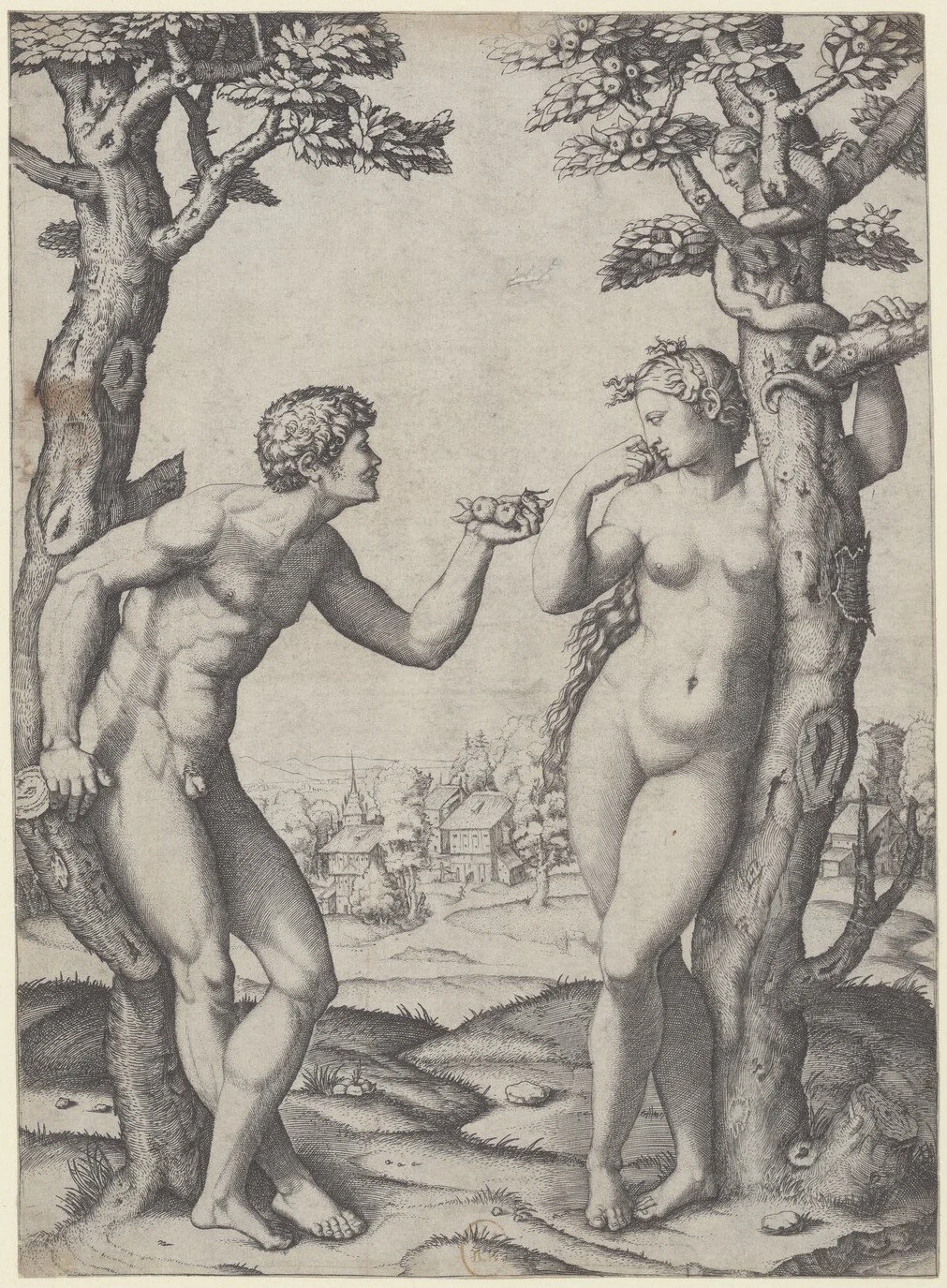 Raimondi
