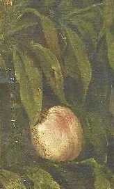 Pêche