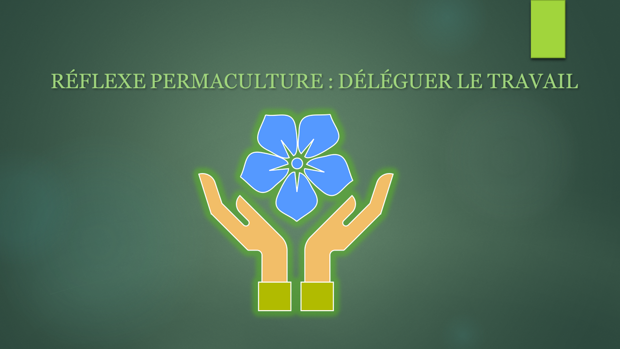 RÉFLEXE PERMACULTURE : DÉLÉGUER LE TRAVAIL