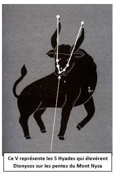    La constellation du taureau   