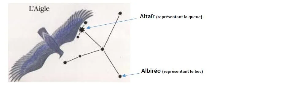    Voici la constellation de l’aigle avec Altaîr, son étoile principale.   