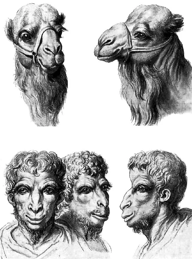 La physiognomonie remonte à l’Antiquité. Elle entend déduire le caractère d’une personne de son apparence physique rapportée à des traits qui rapproche son visage de celle d’un animal que l’on dote de vertus supposées (renard fourbe, lapin couard etc). En 1668, C. Le Brun, directeur de l’Académie Royale de peinture et de sculpture remet à l'honneur cette physiognomonie zoologique, qui insiste sur les traits animaux de la face humaine ce qui permet de révéler les facultés de l'esprit ou les caractères. C'est ainsi que l'angle formé par les axes des yeux et des sourcils peut conduire à des conclusions variées, selon que cet angle s'élève sur le front pour se rapprocher de l'âme ou qu'il descend vers le nez et la bouche, considérés comme parties animales.