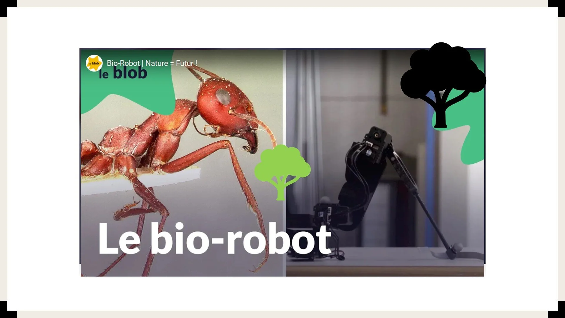 Le bio-robot- Nature=futur