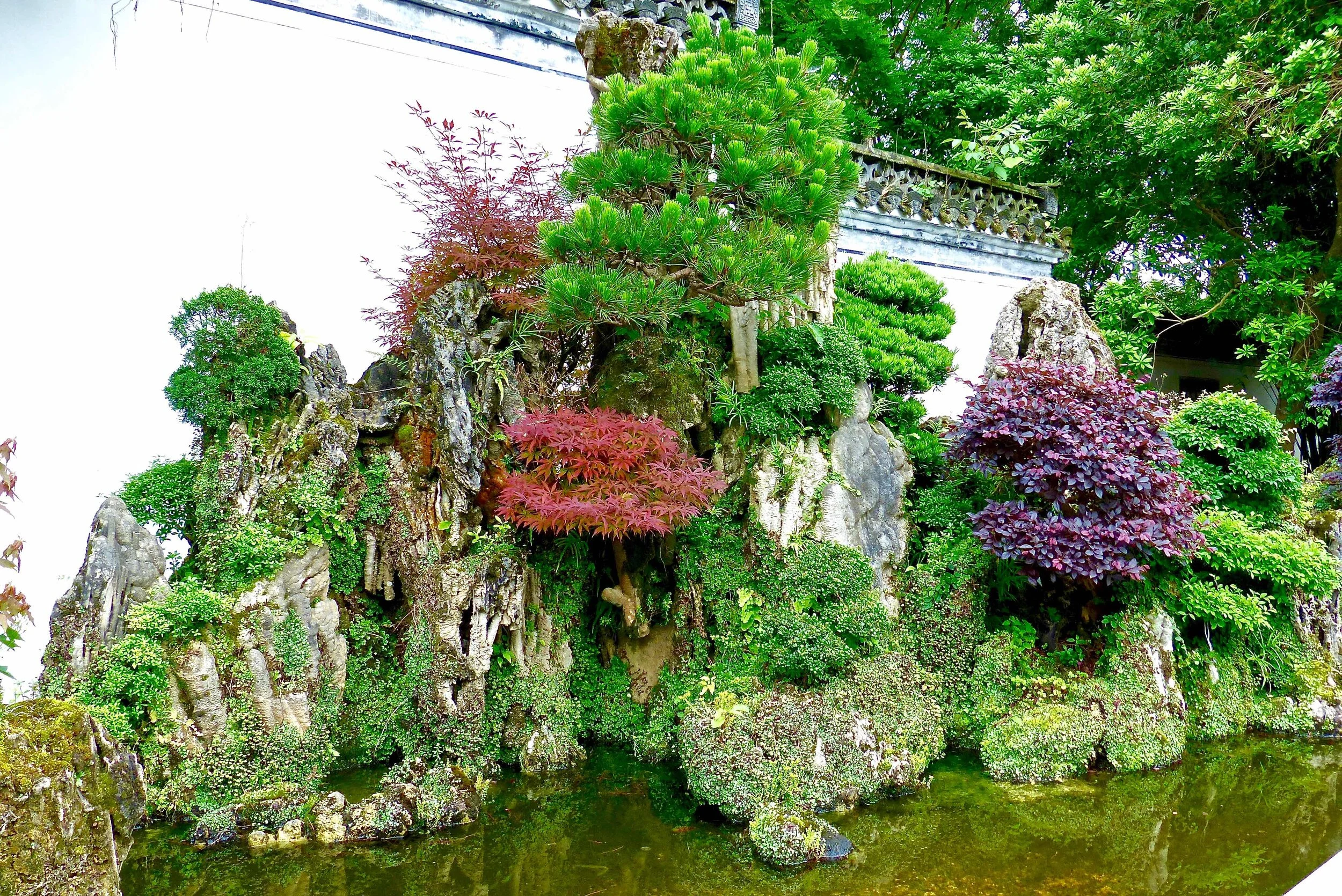 Jardin de bonzaï de Tangyue (Chine)