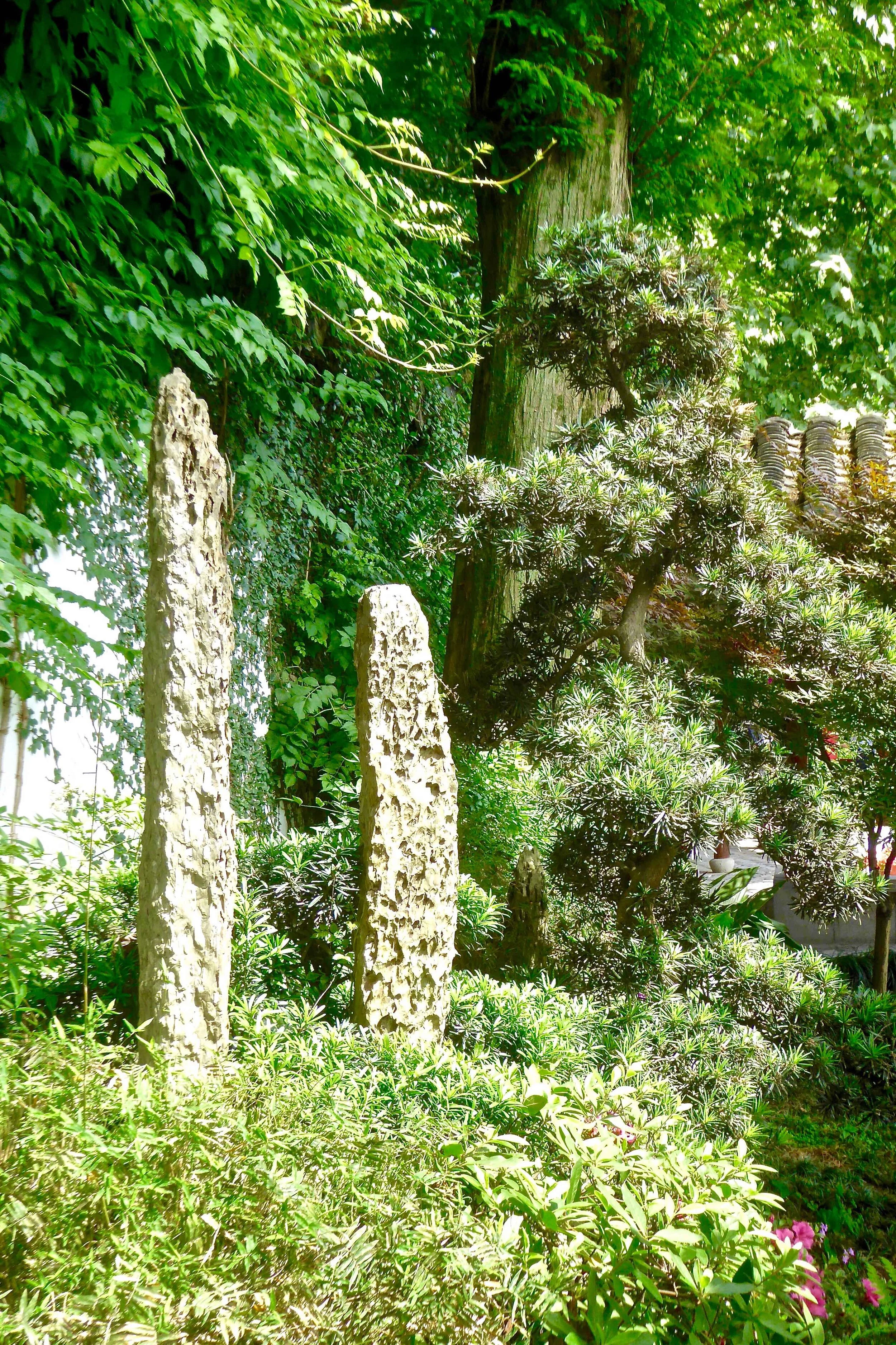 Fragments de stalactites, jardin Guo à Hangzhou (Chine)