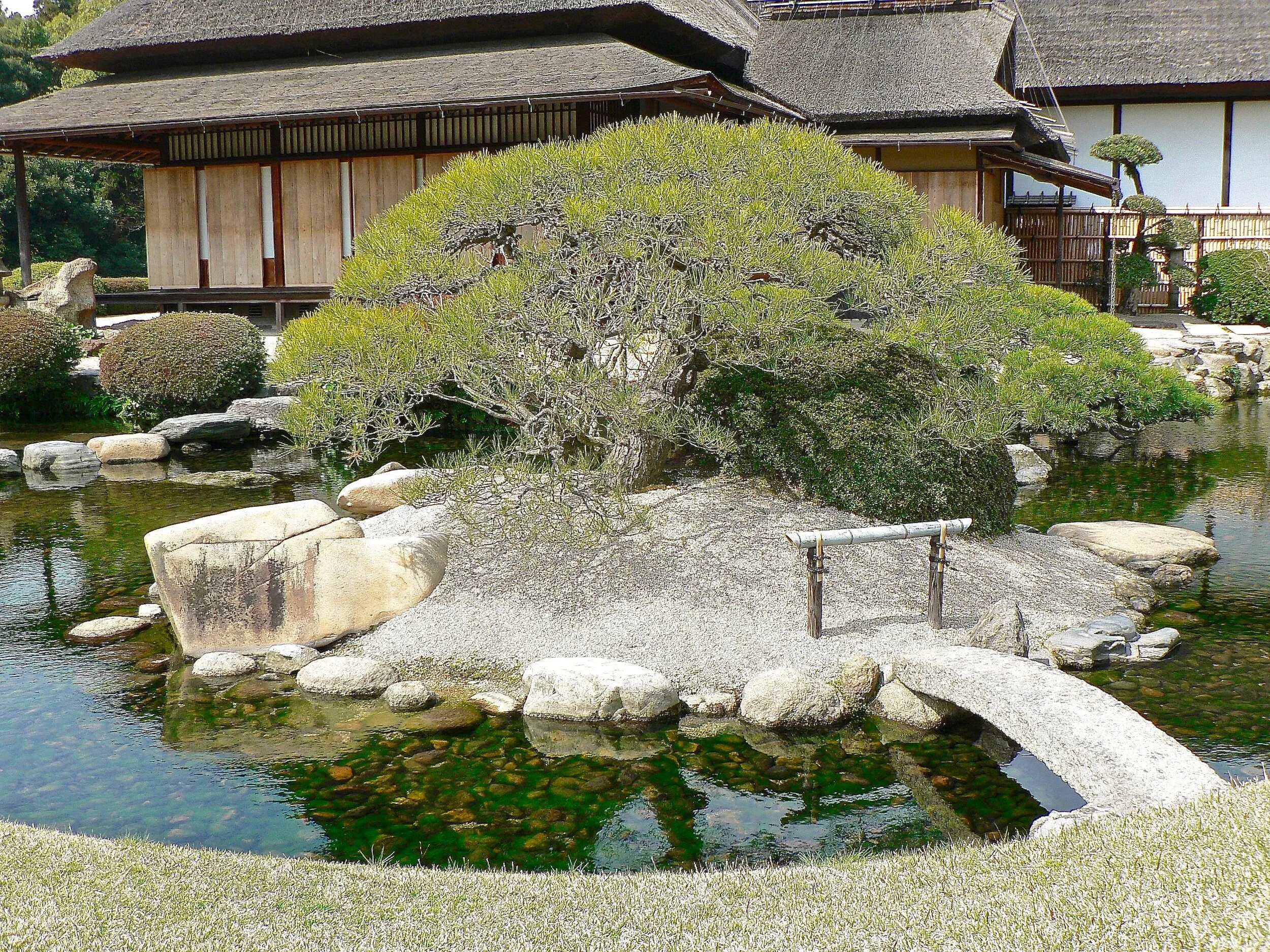 ile tortue du jardin Koraku-en à Okayama (Japon)