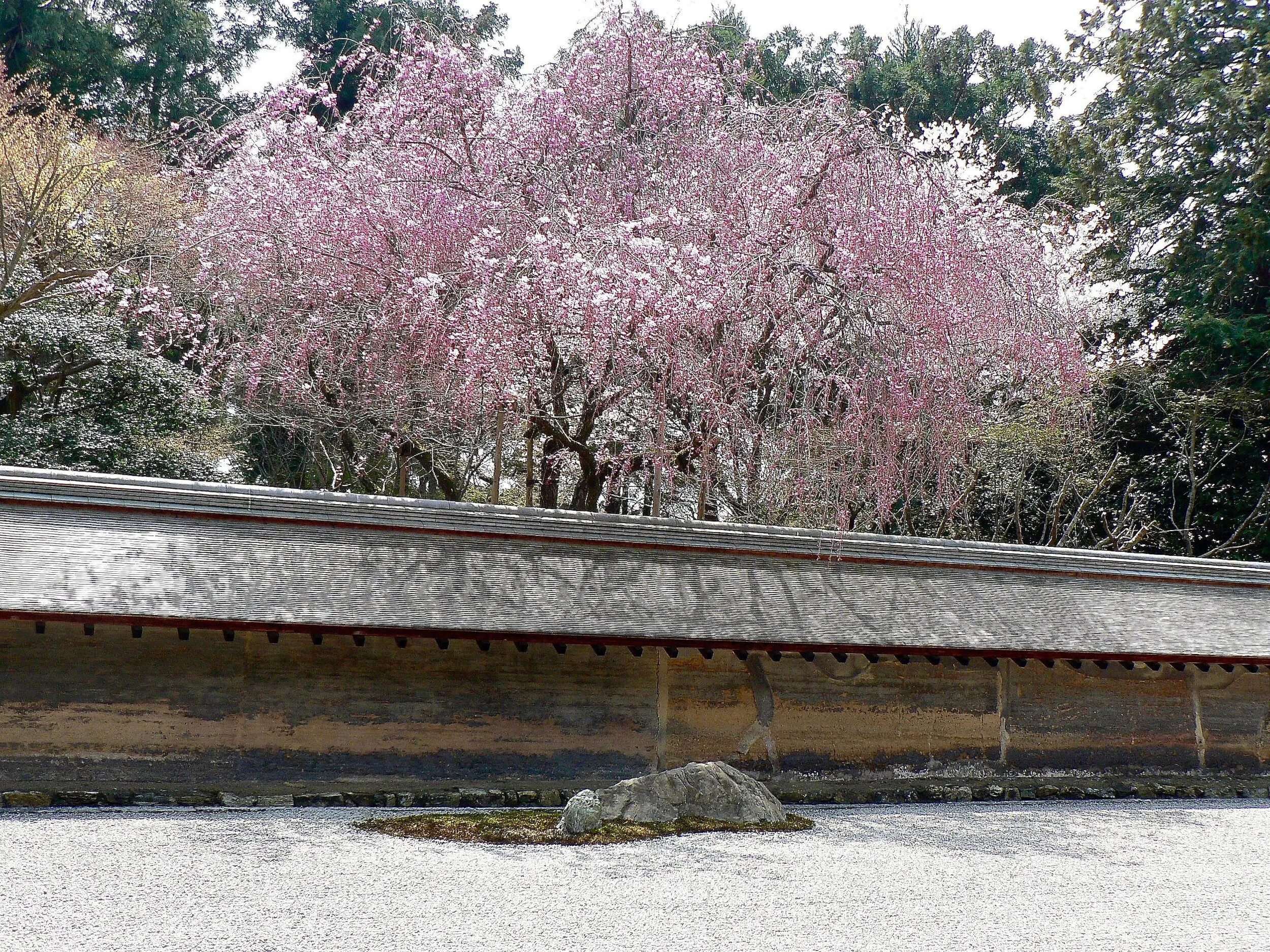 « paysage emprunté » face à la terrasse du jardin sec du Ryoan Ji à Kyoto (Japon)