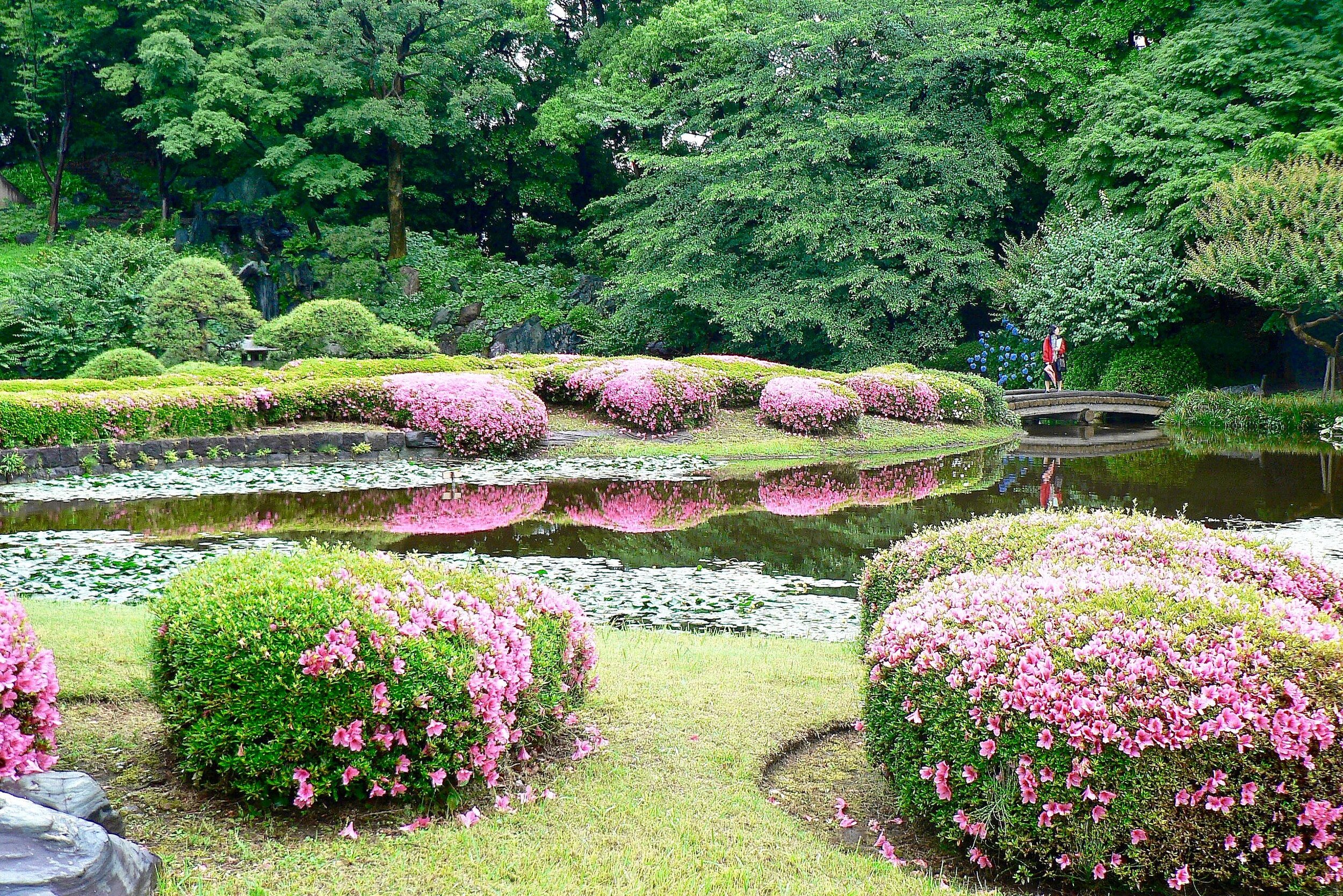 jardin du Palais impérial à Tokyo (Japon)