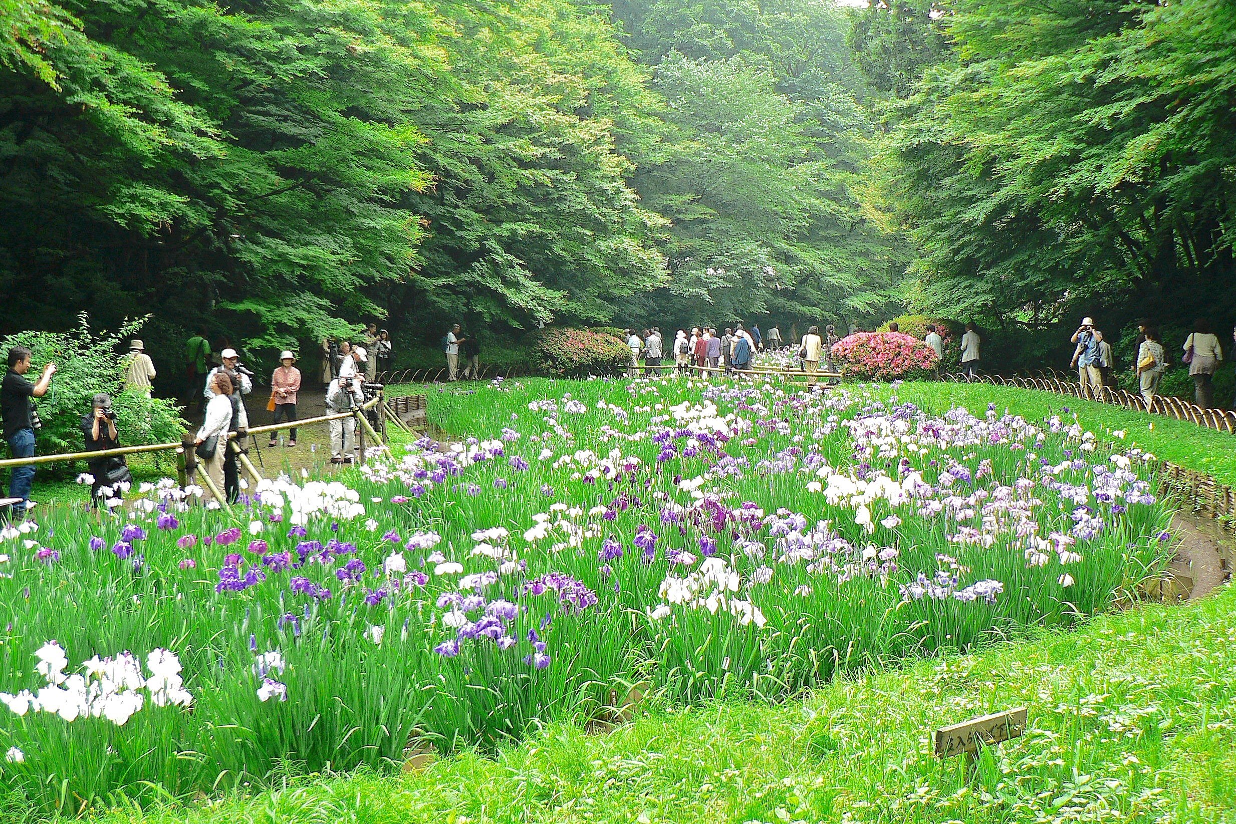 jardin du Palais impérial à Tokyo (Japon)