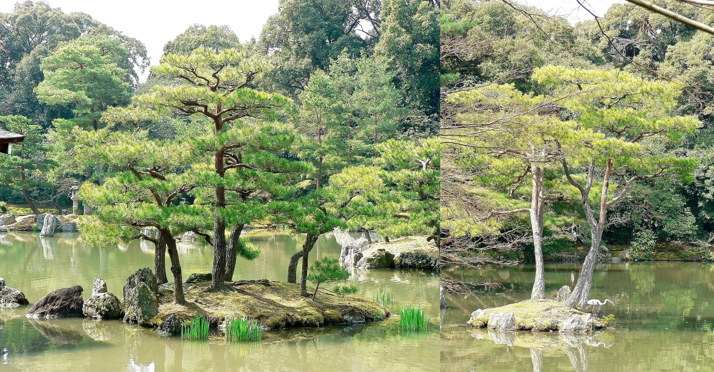 ile tortue et ile grue du jardin du Kinkaju Ji à Kyoto (Japon)