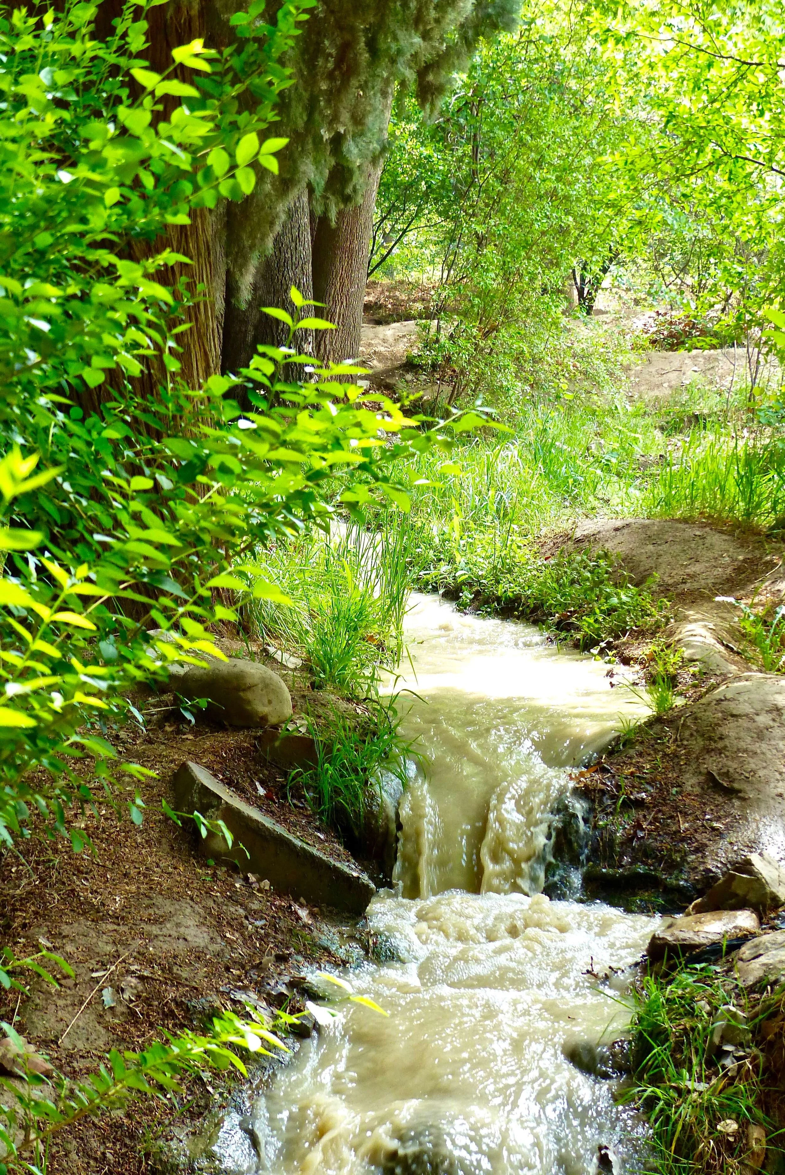 Jardin de Mahan : situé sur le plateau central de l’Iran particulièrement aride ce jardin est une création du 19e siècle. L’aspect d’oasis est flagrant et l’irrigation des parties latérales du jardin consacrées à un verger (grenadiers, agrumes et vignes) se fait par des chenaux de terre bloqués temporairement par des pierres pour inonder les parcelle étagées successivement.