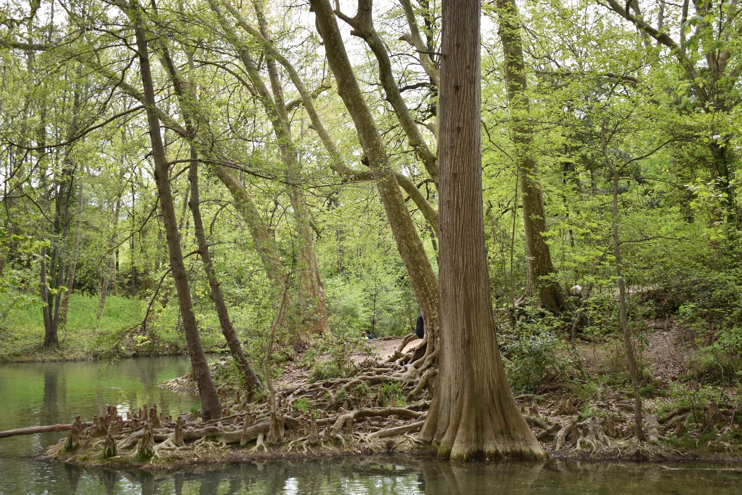 CONFERENCE "CASTELNAU DANS L’ANTIQUITE ET SES VESTIGES AUJOURD’HUI : L’ORGANISATION DE L’ESPACE ANTIQUE"
