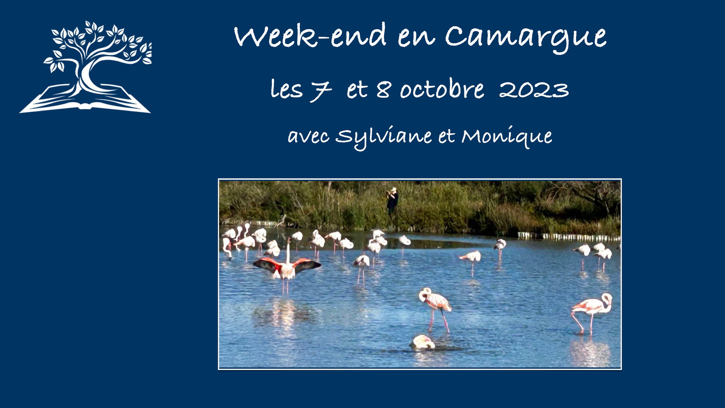 week-end Camargue samedi  02_page-0001.jpg