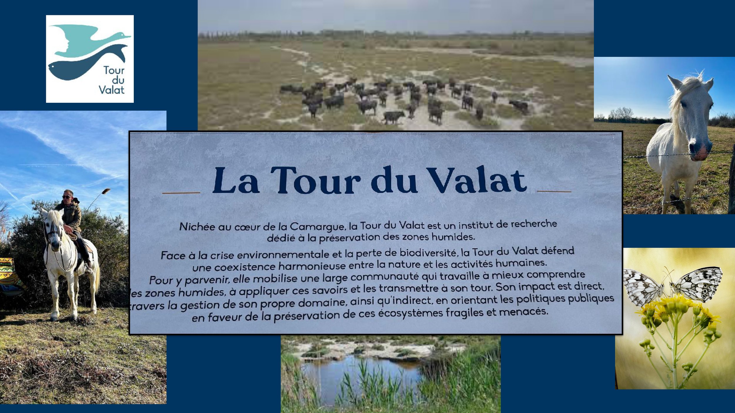 La Tour du Valat 01 key_page-0007.jpg