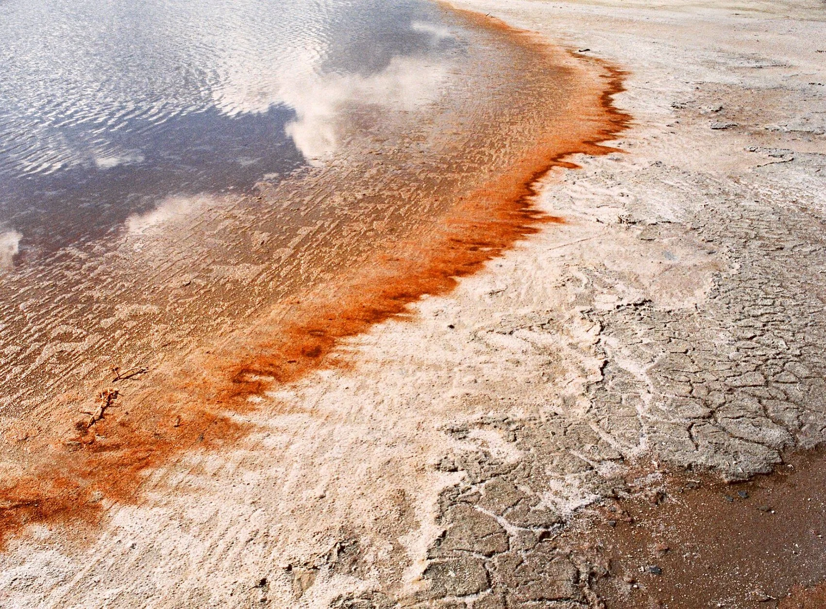 Let it Bleed (Murray-Sunset National Park Salt Lake).jpg
