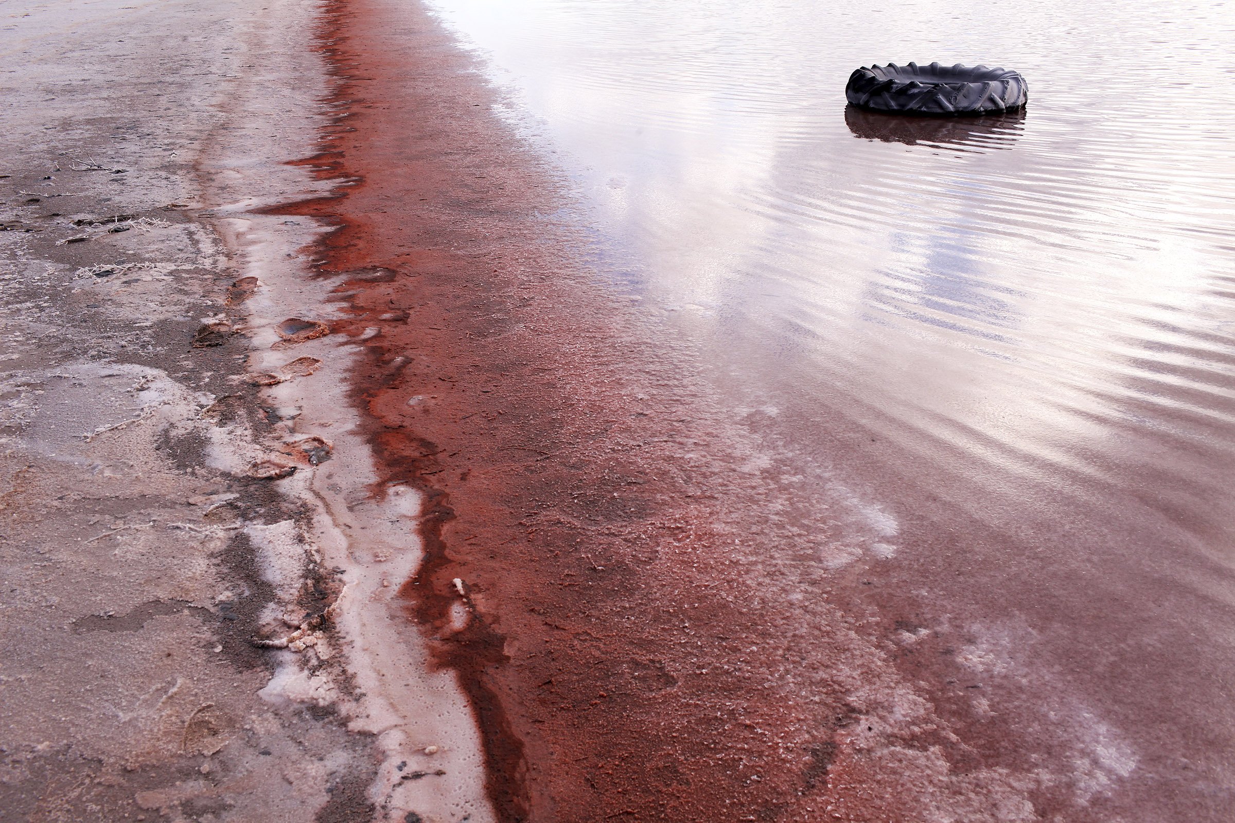 Pink Salt Lake Head on.jpg