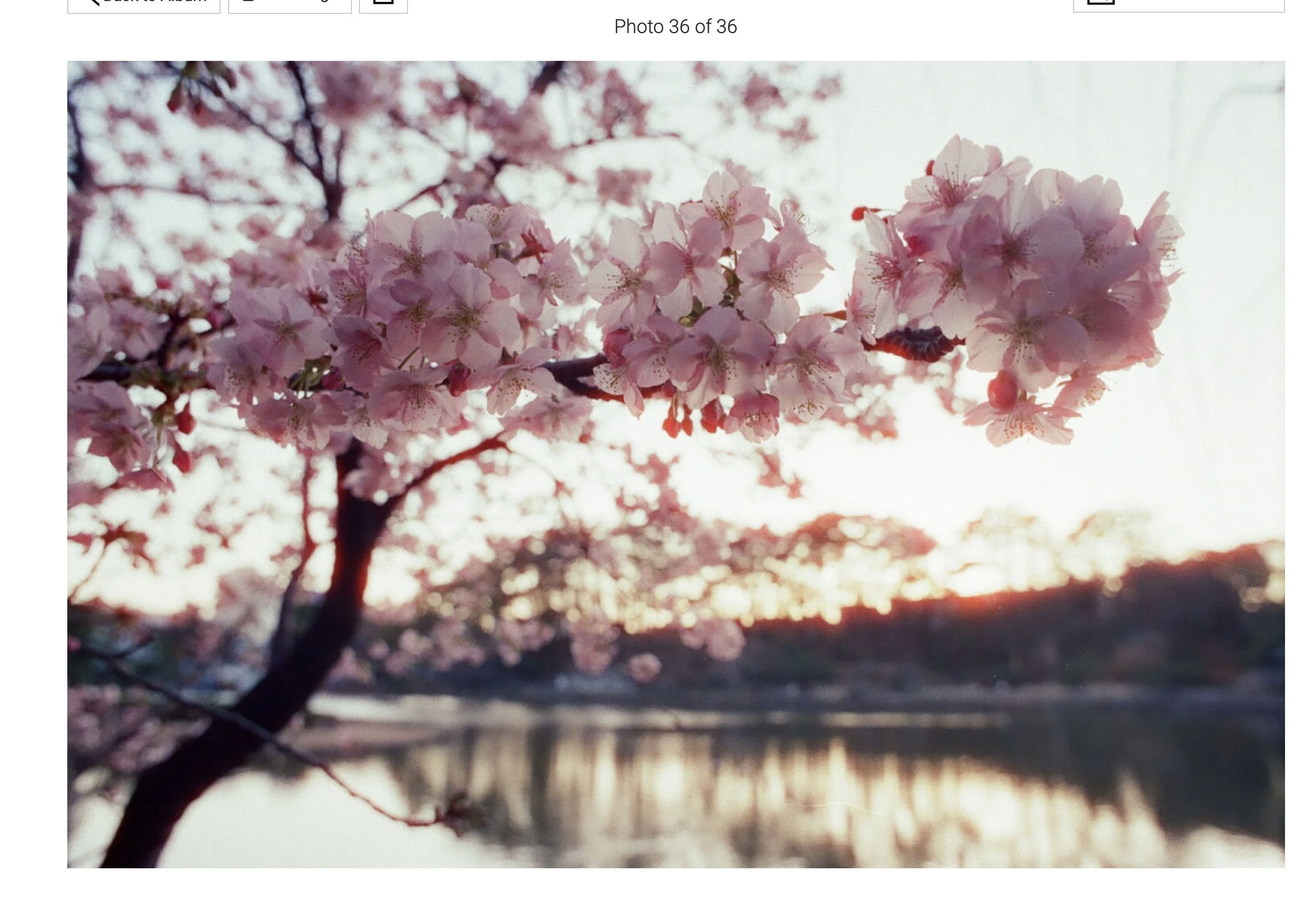 Screenshot 2026-03-02 at 3.25.21 PM.jpg