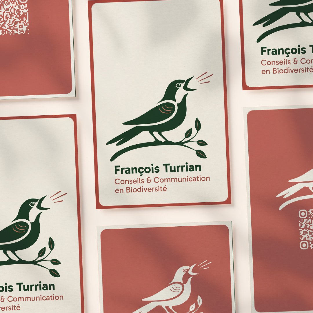 Plan de travail 2.jpg