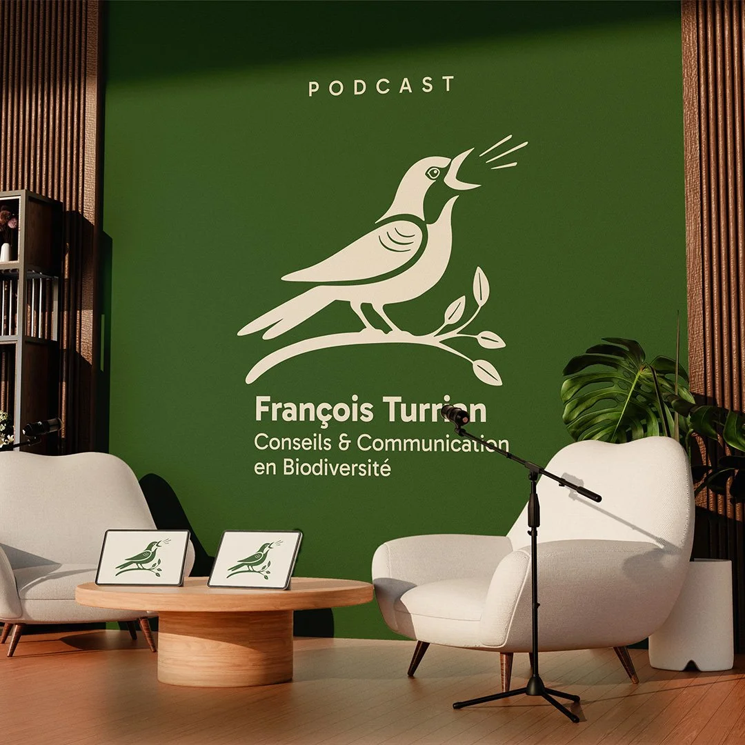 Plan de travail 3.jpg