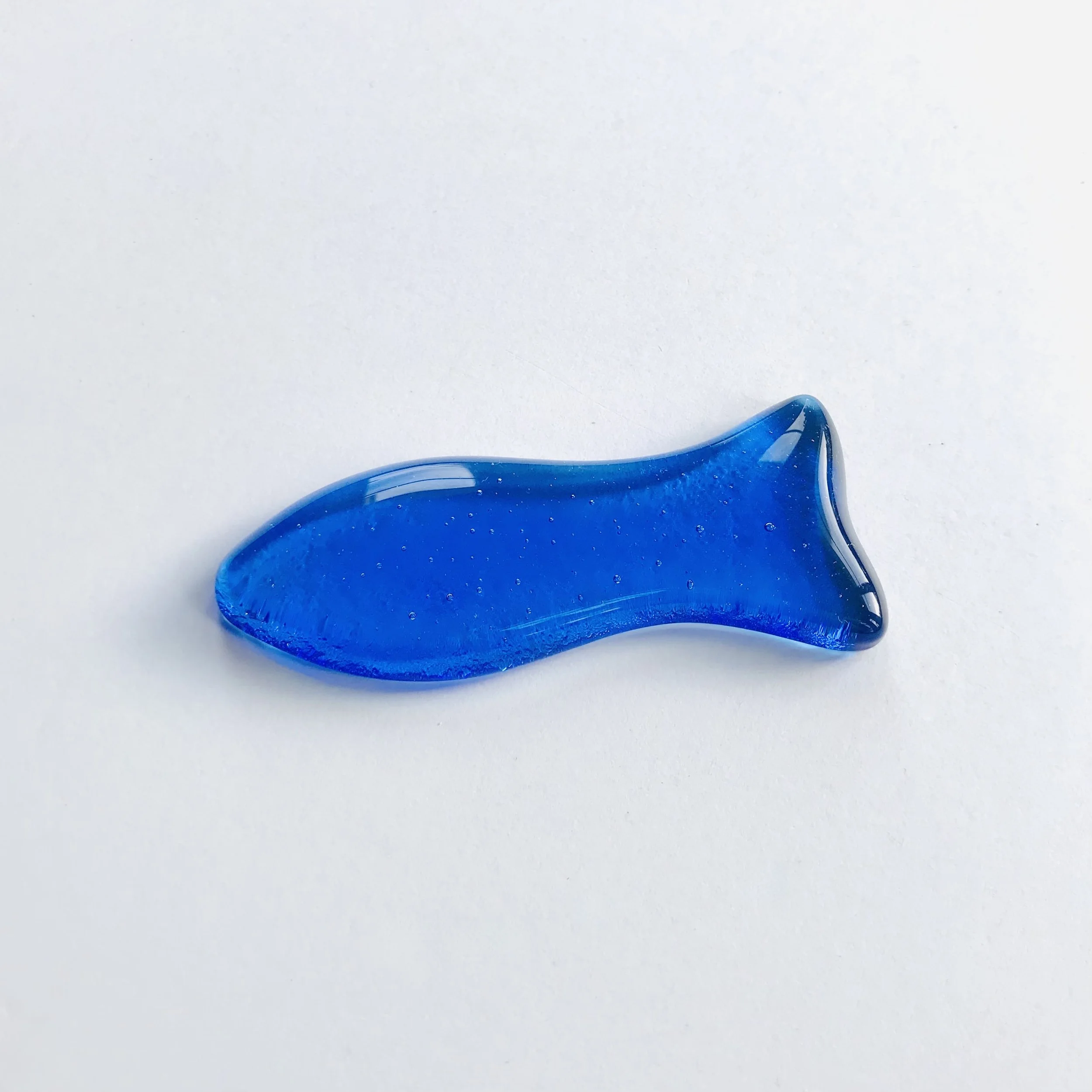 1 poisson bleu roi 72E86A35-9CF5-4B72-9F1F-5584057C3520_1_201_a.jpg