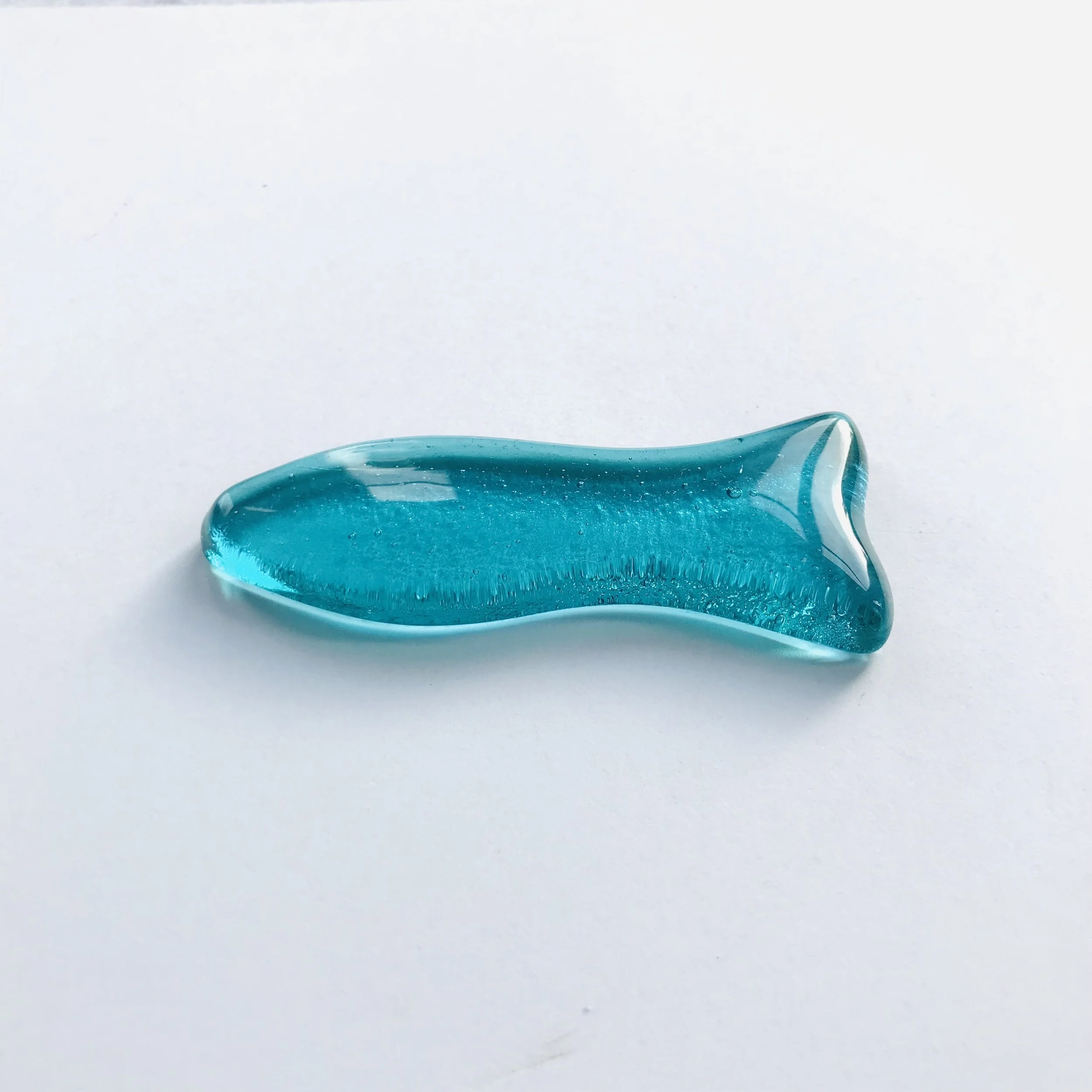 1 poisson lagon A6953253-988F-47C7-8C28-87A7D977BE8C_1_201_a.jpg