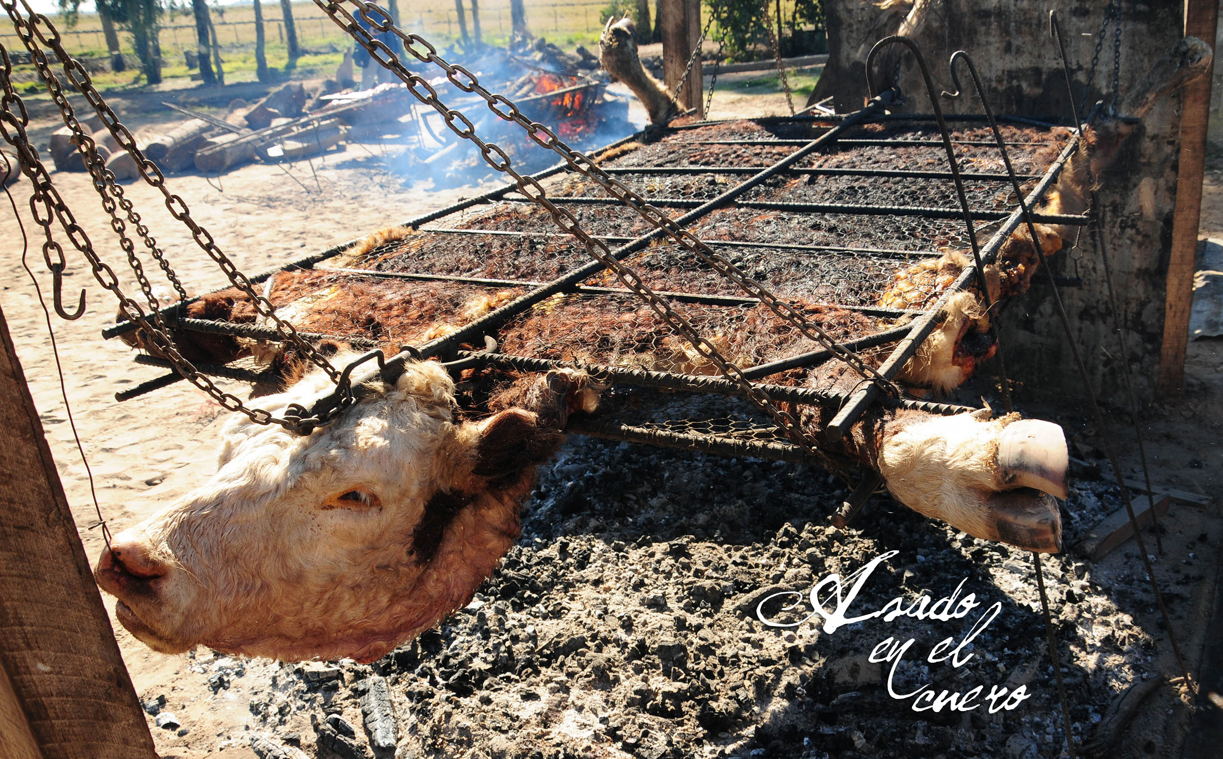 The asado en el cuero, or barbecue on the leather, is a traditional South American method of cooking meat that dates back to the gauchos. José Silveira, one of the few who still practices this rare art, cooks a whole cow on its own skin, preserving i