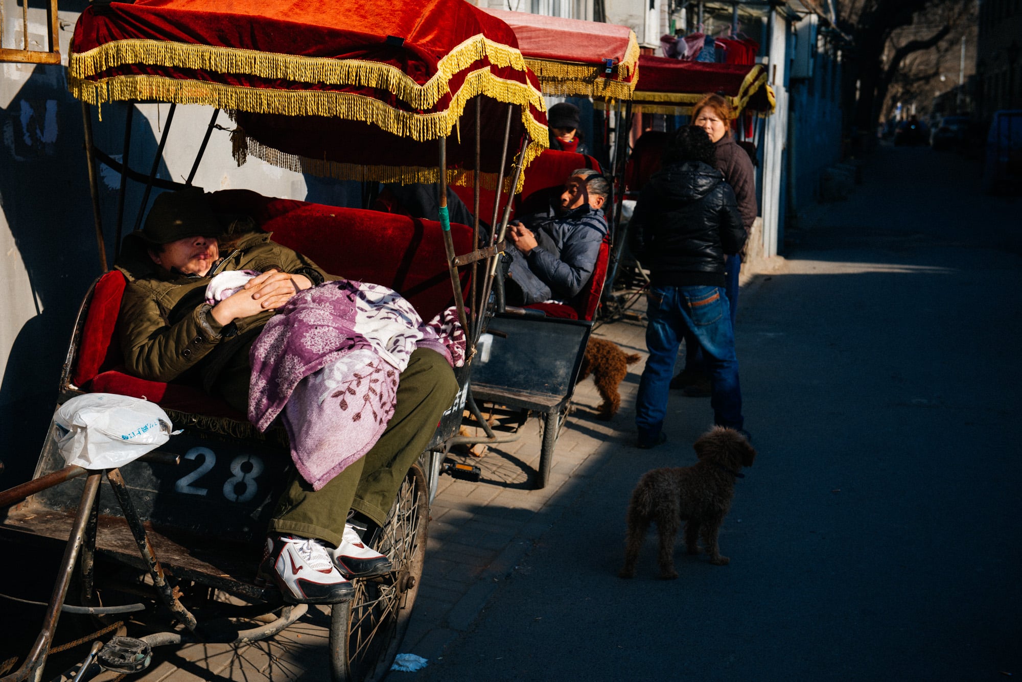 Further down the hutong I ran into these guys taking a nap. At least they were in the sun.