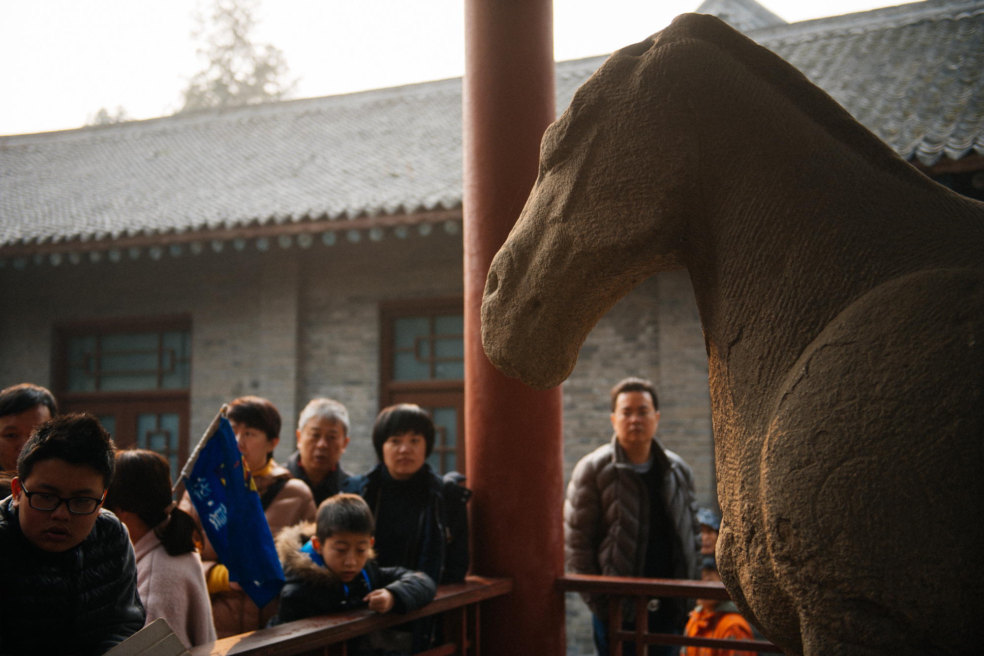 When you walk in the museum, one of the first things you see is the stone horse of Daxia State, a small minority state from the year 407.