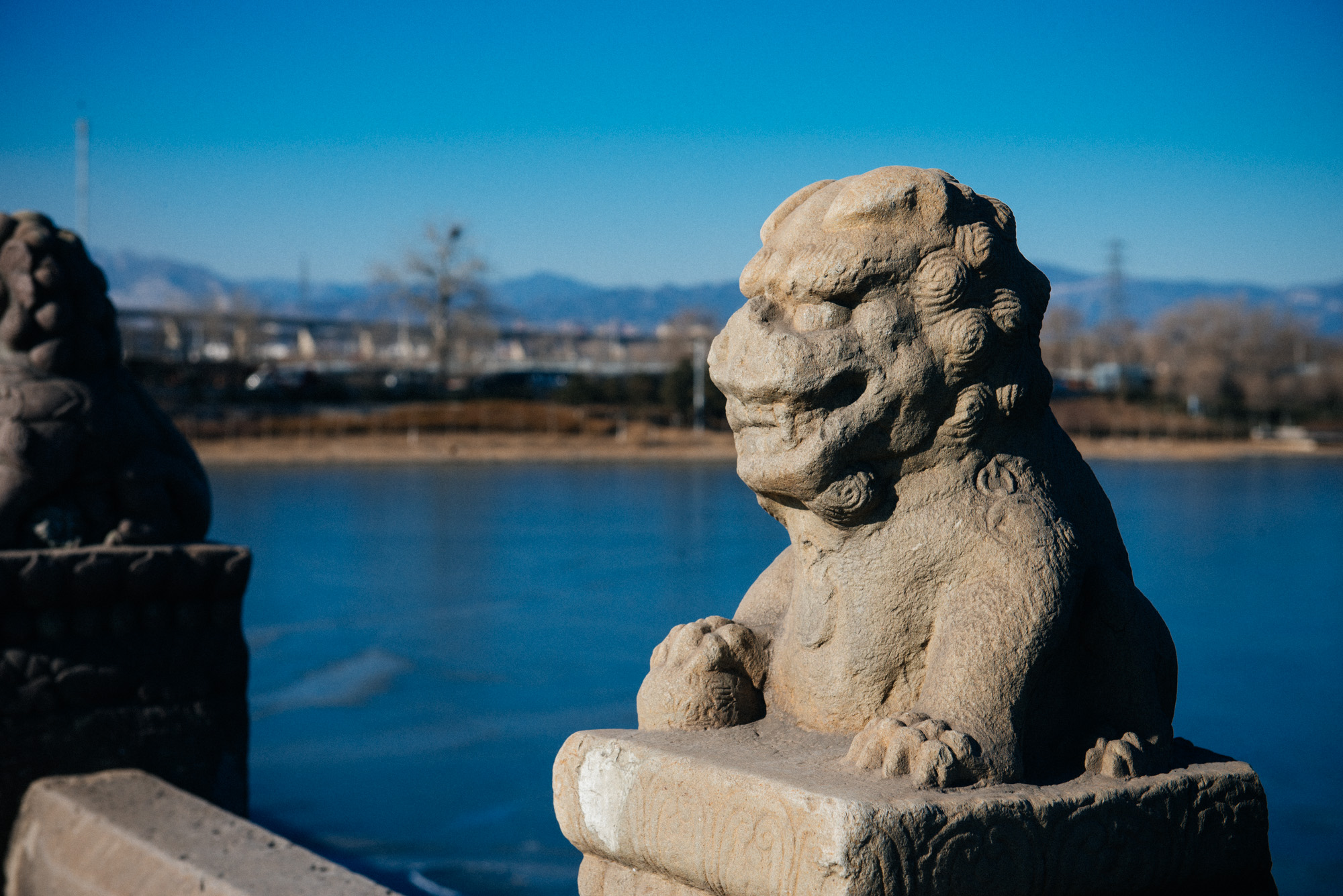 Pretty old statue of a male lion. You can see it's very worn out.