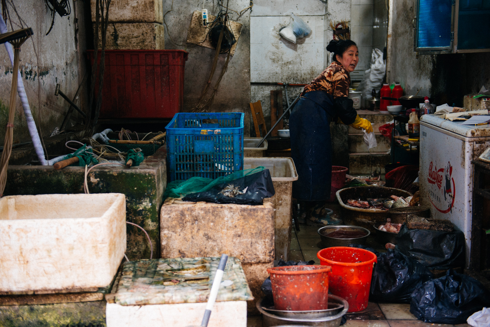 Fish saleswoman argues with customer as she bags his purchase. In front of the shop several tanks with live (and some not so much) animals are for sale.