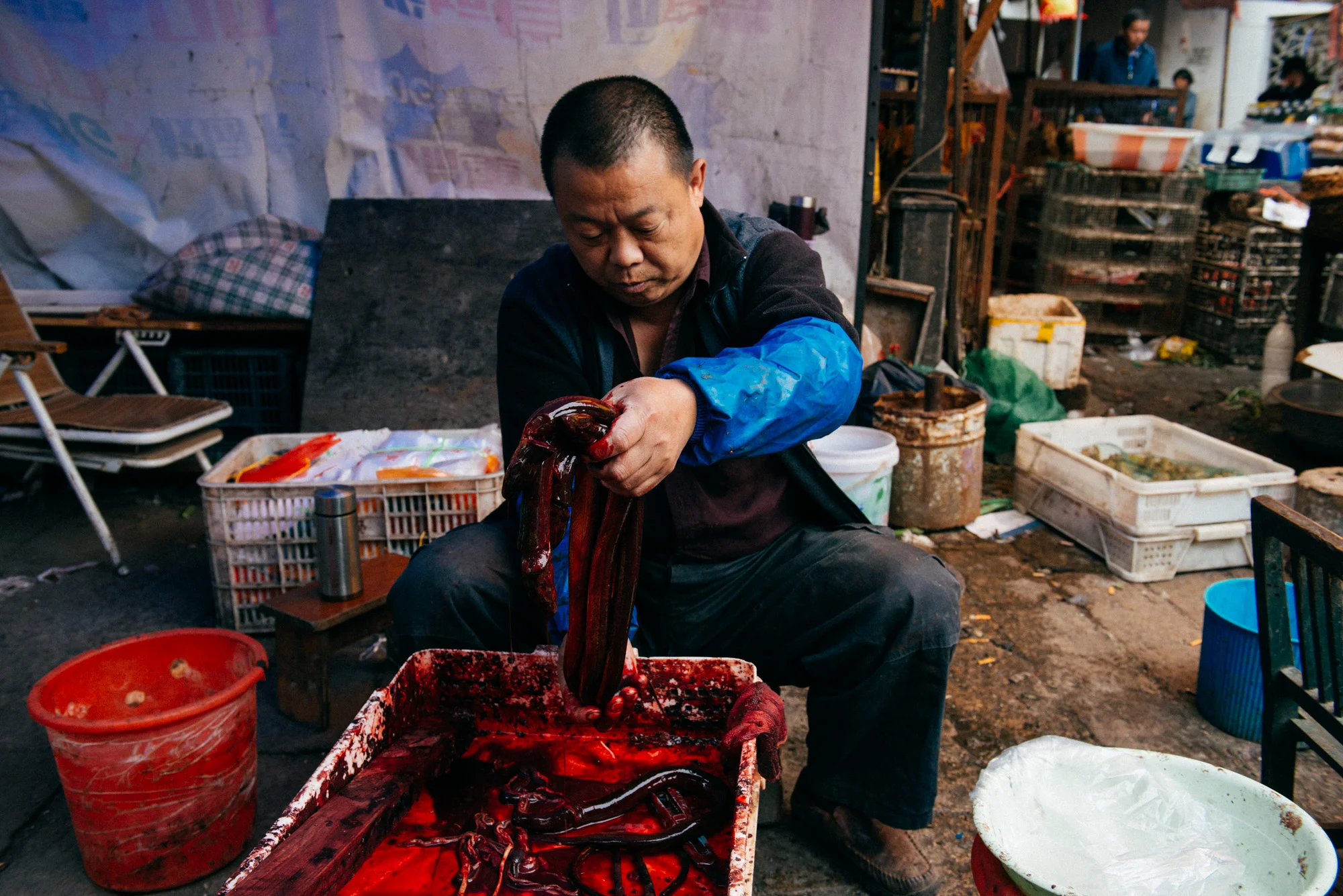 The small longtangs surrounding Shantang Street are full of markets selling live animals. This man sells live eels by the pound. Customers pick the moving animals from a crate, then the vendor weighs, slaughters and cleans the animal, to then put them in a bloody plastic bag and hand them to the buyer.