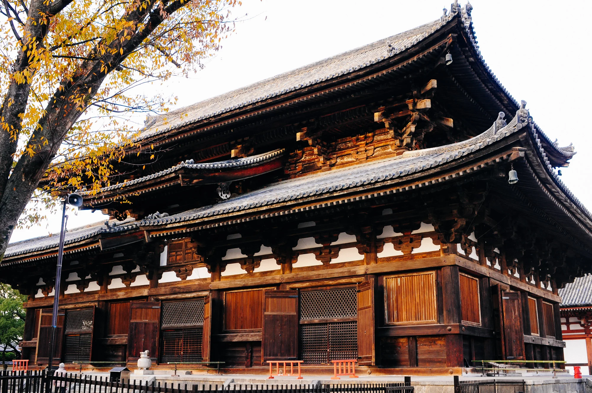Inside the Kondo hall there is a Yakushi statue made in 1603.
