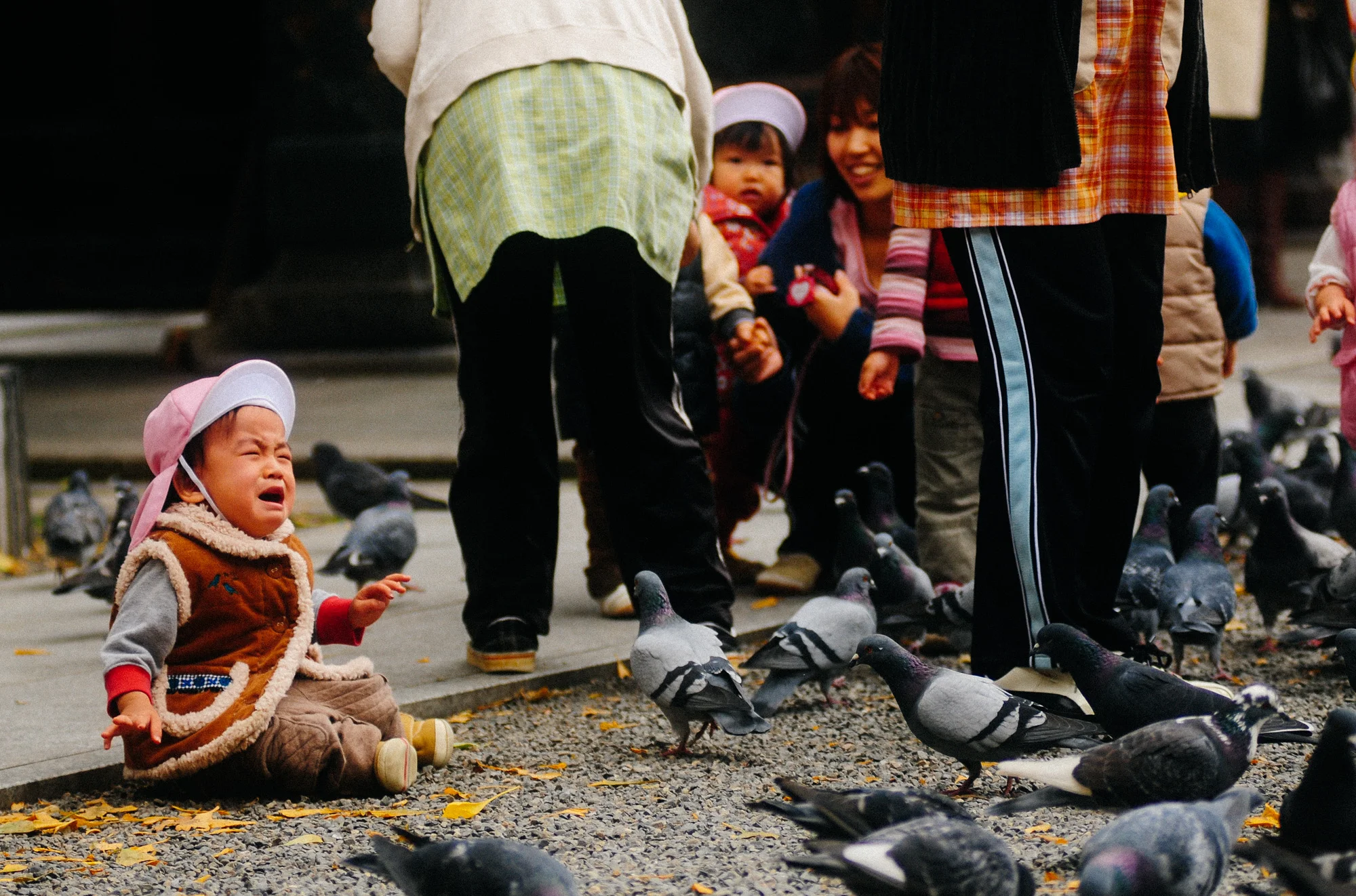 Apparently not everyone was happy feeding the birds.