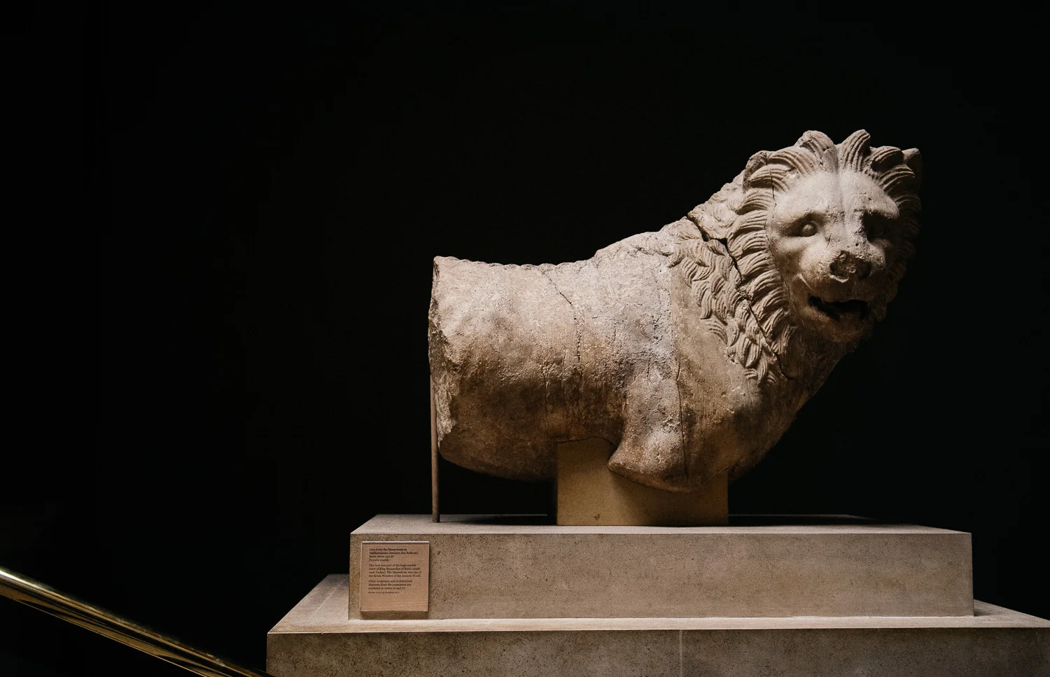 If you’re not careful you might miss these two lions that flank a big staircase of the museum.