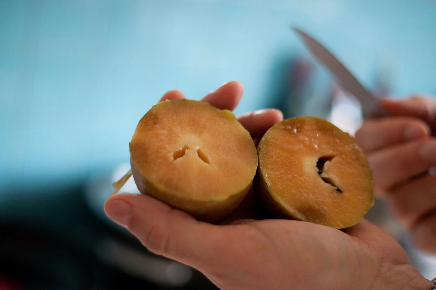 Sapodilla Fruit