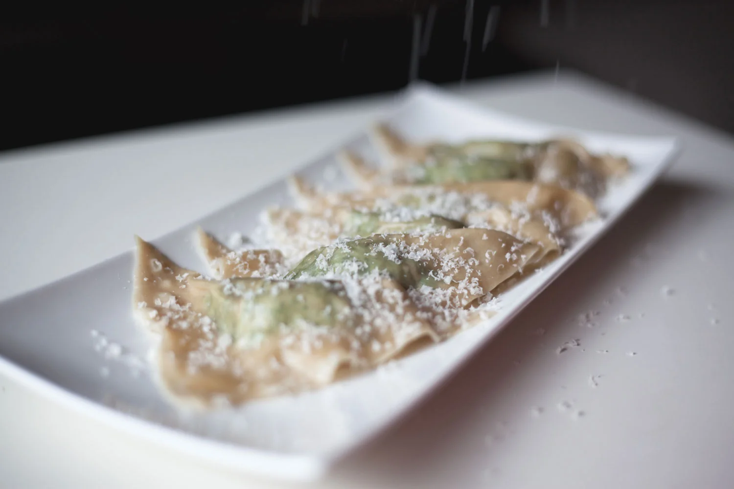 Spinach Wonton Ravioli