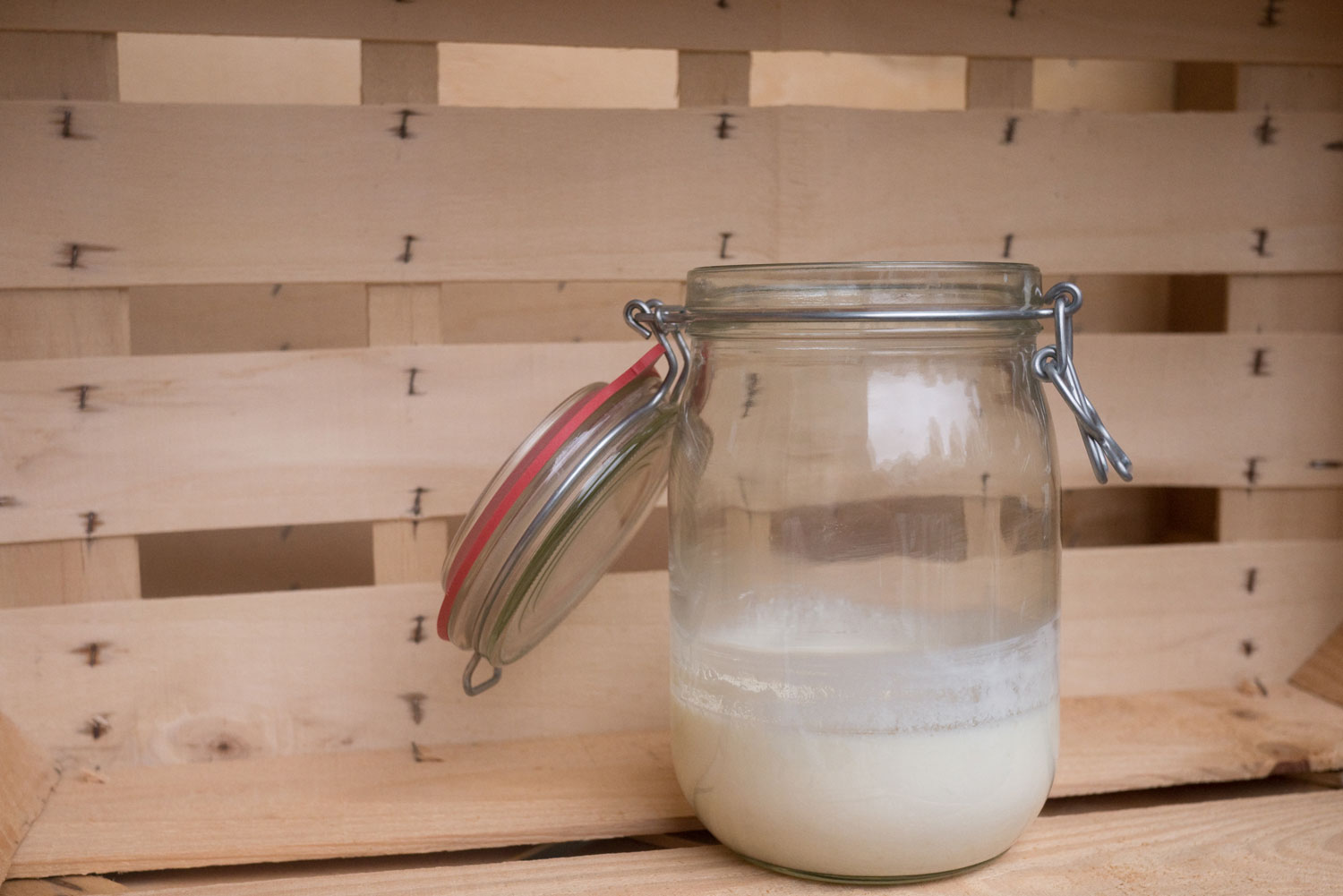 1. Start with your cultured kefir milk.