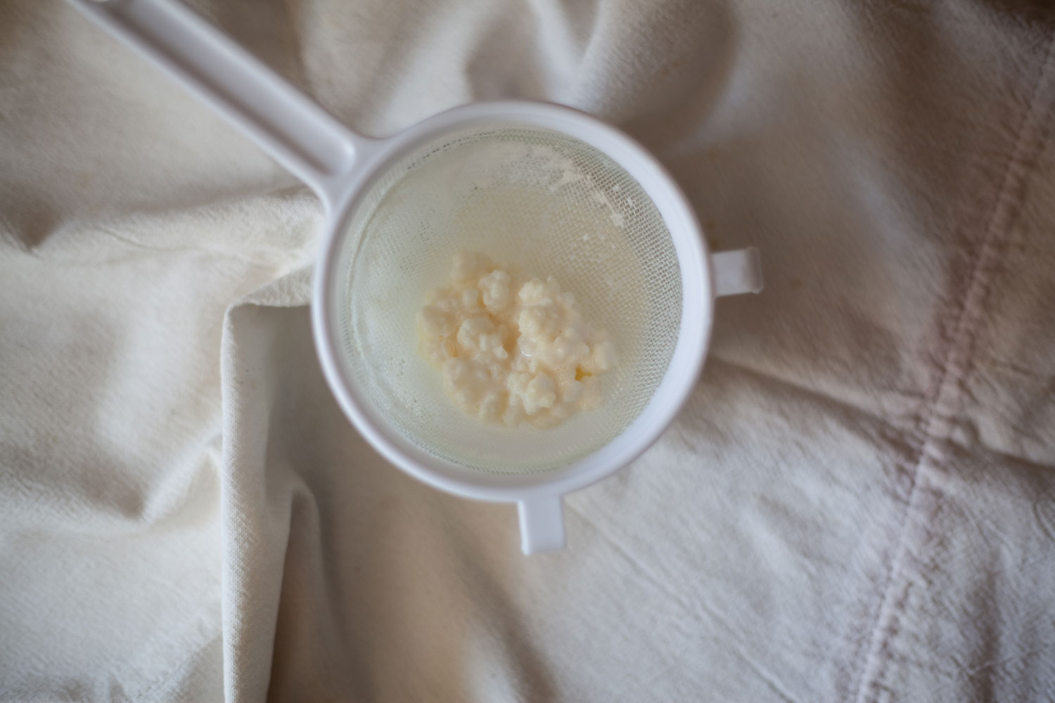 How to Care for Live Kefir Grains