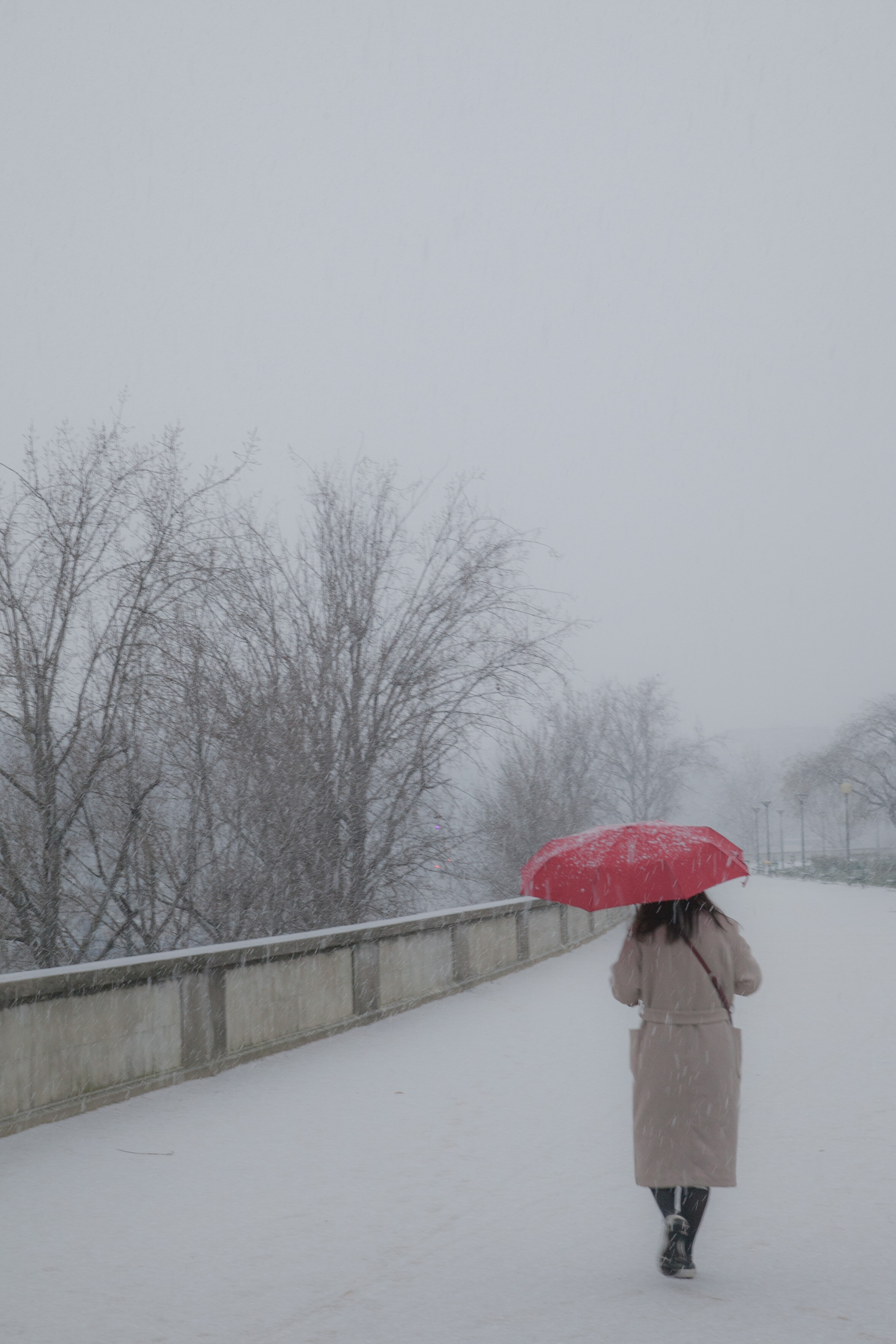 Snow Day Paris- Red Umbrella 15ème-0116.jpg