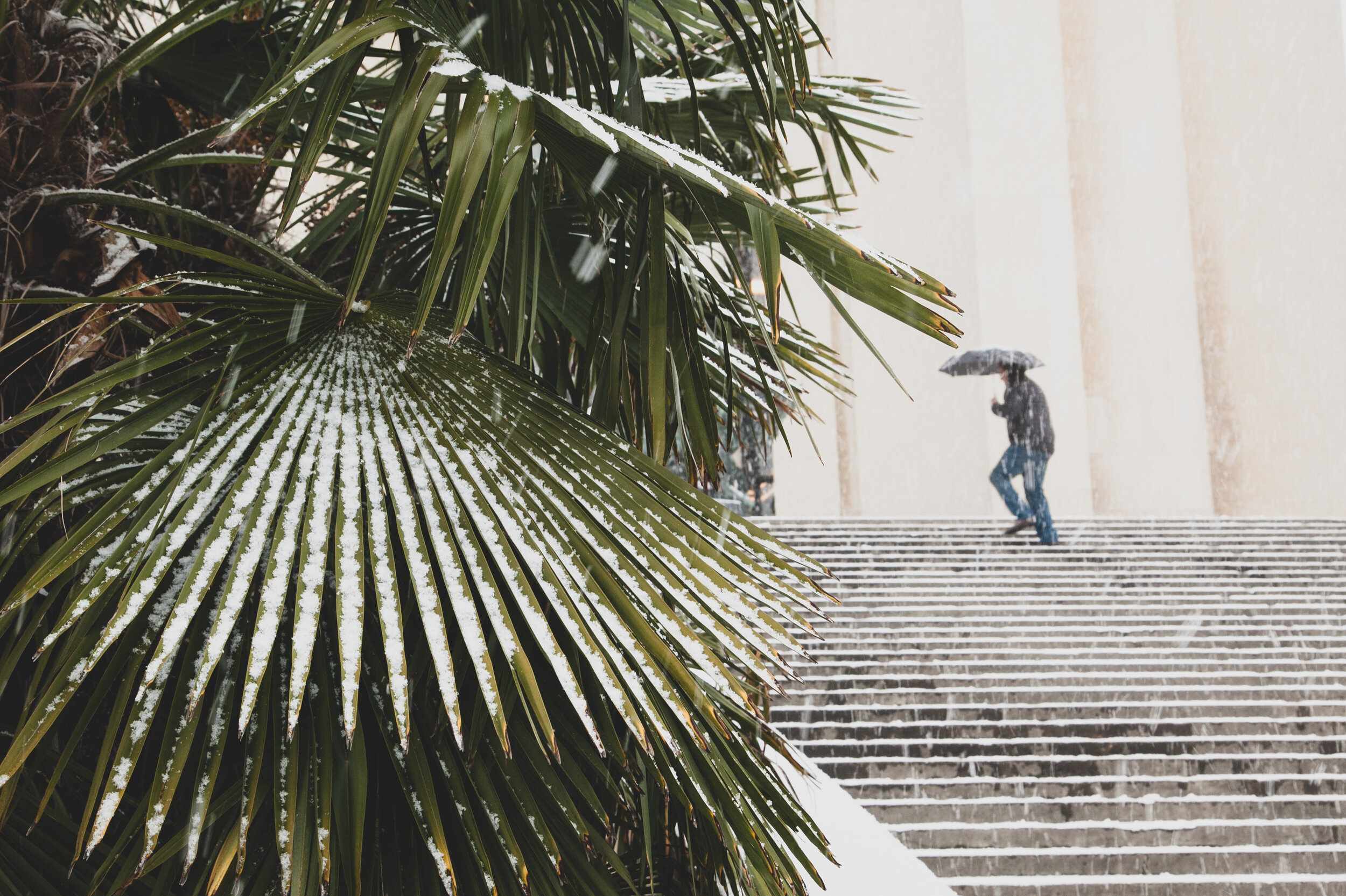Snow in Paris- Man climbing up stairs-0190.jpg