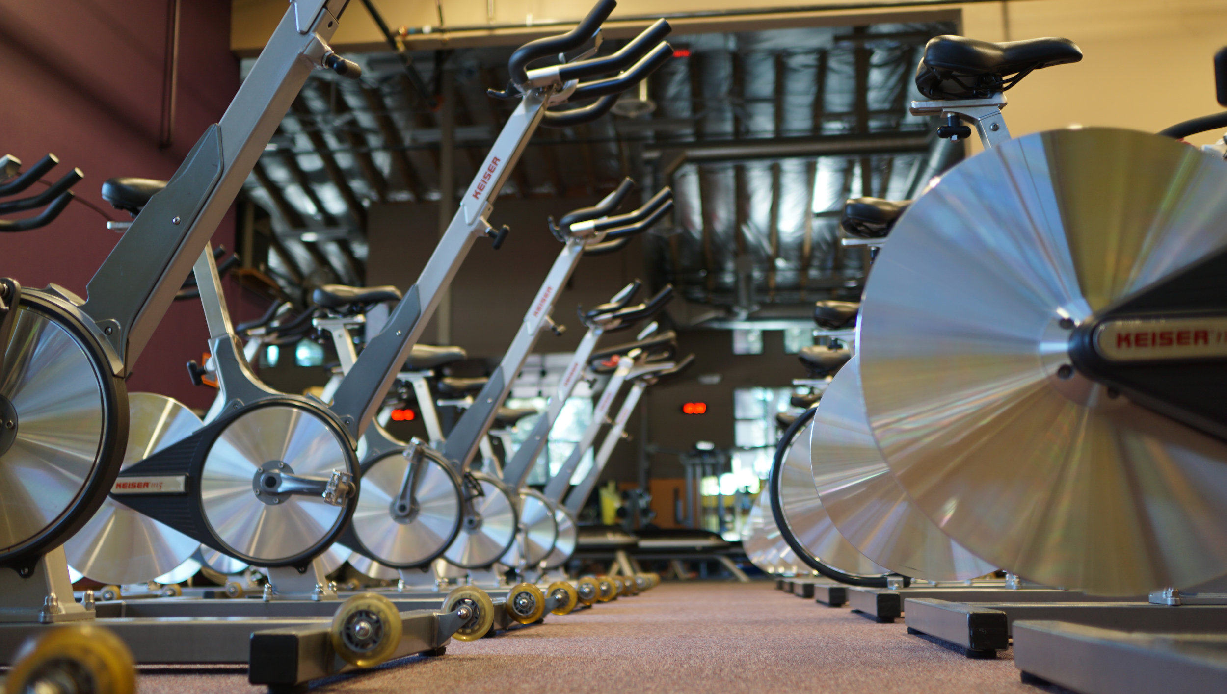 bikes 3.79.jpg