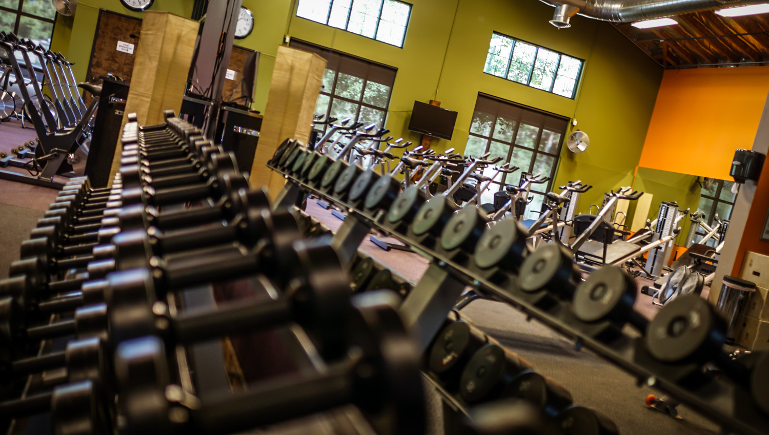 free weights.jpg