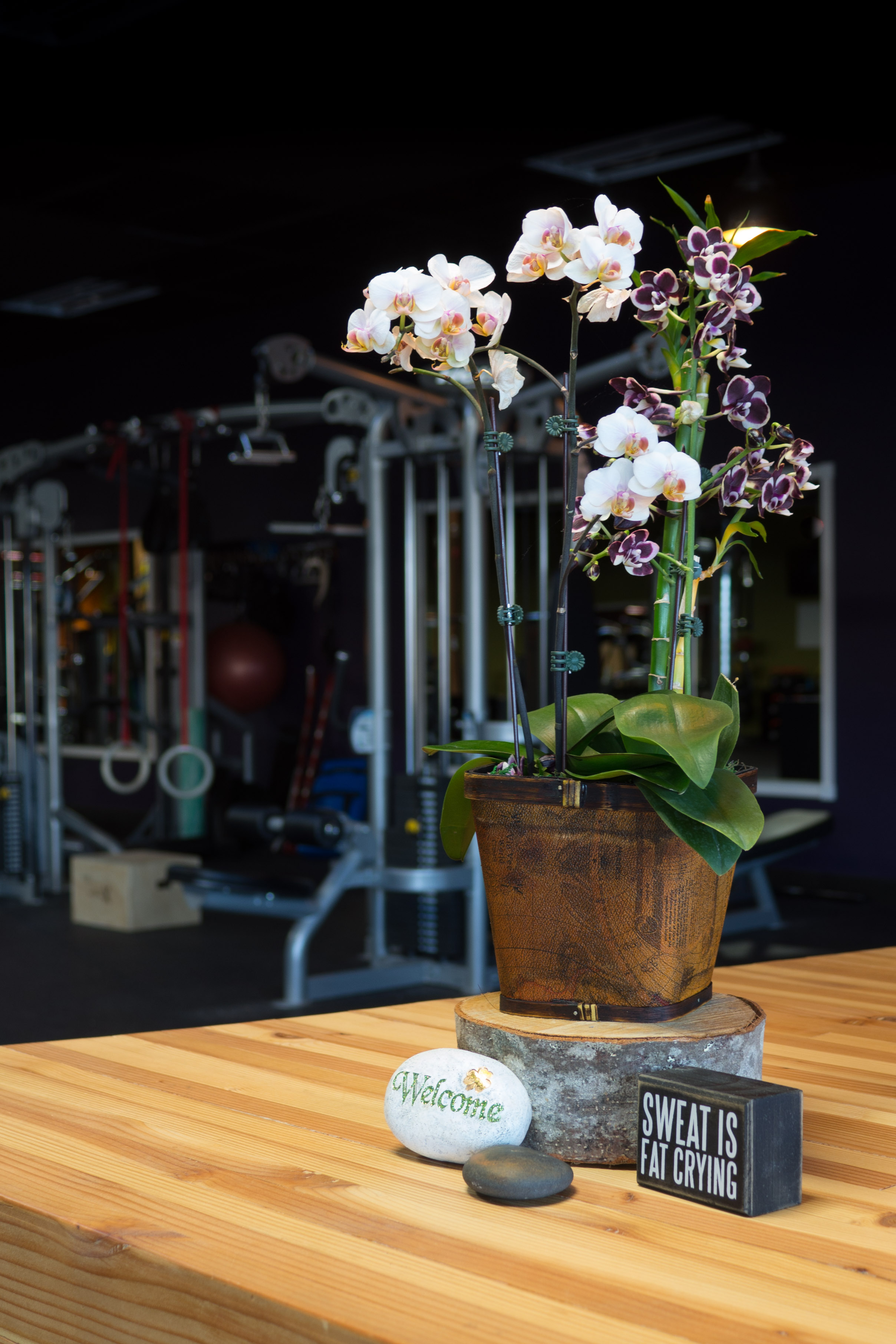 LIFT_2017-33.jpg