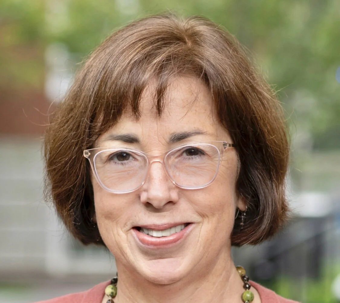 #276 Four Threats: American Democracy in Crisis: Suzanne Mettler