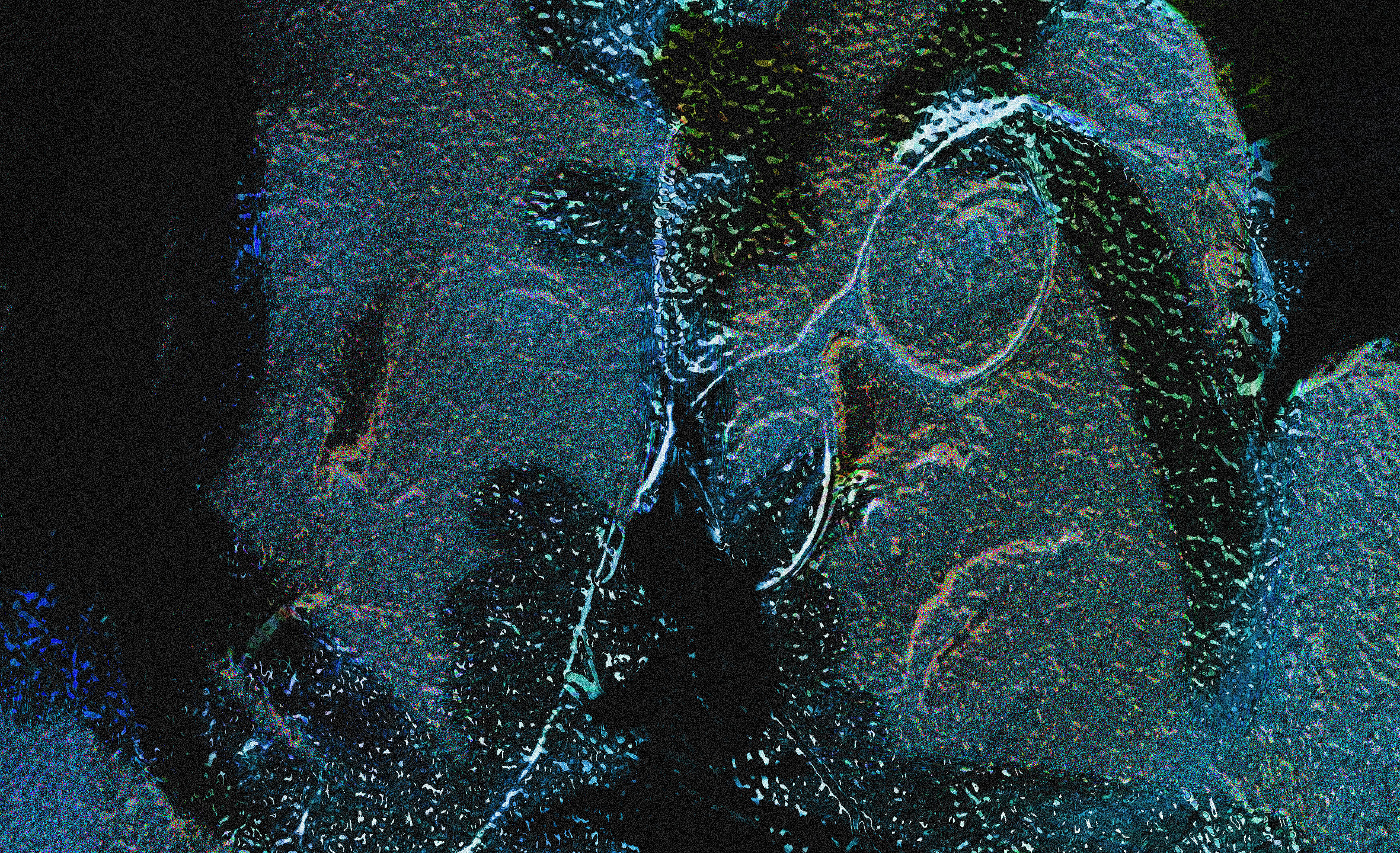 transparents_kansi_cut.jpg
