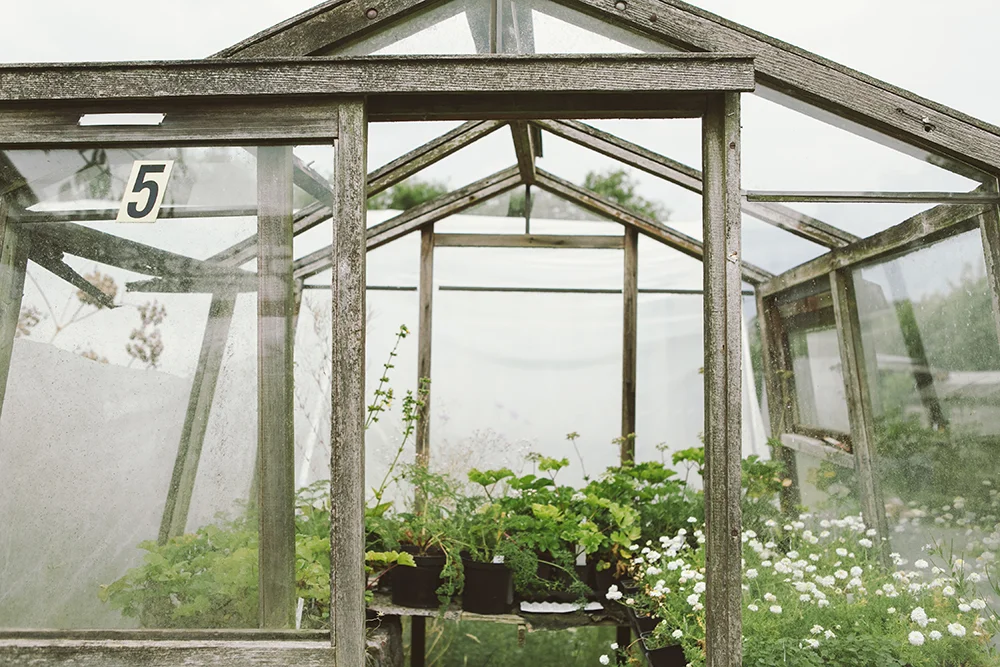 Vervain_General-21 copy.jpg