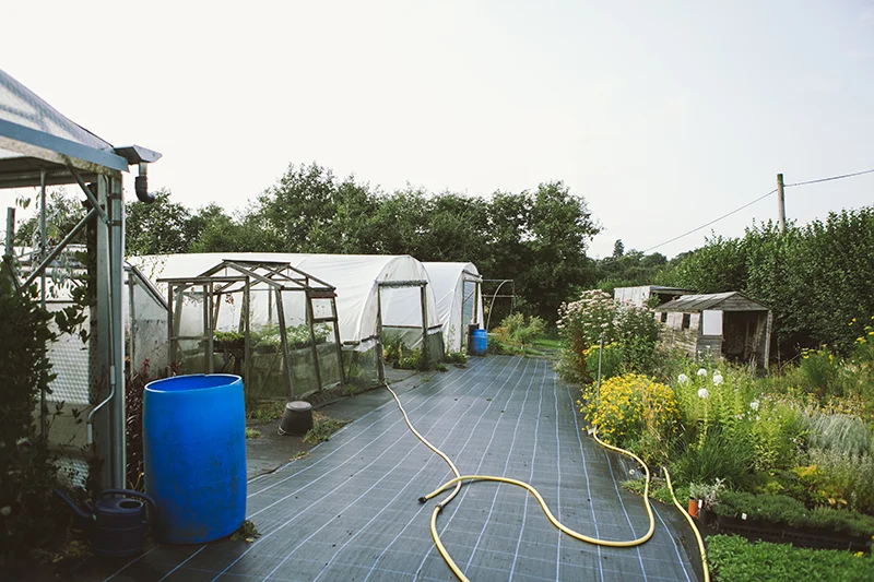 Vervain_General-63 copy.jpg